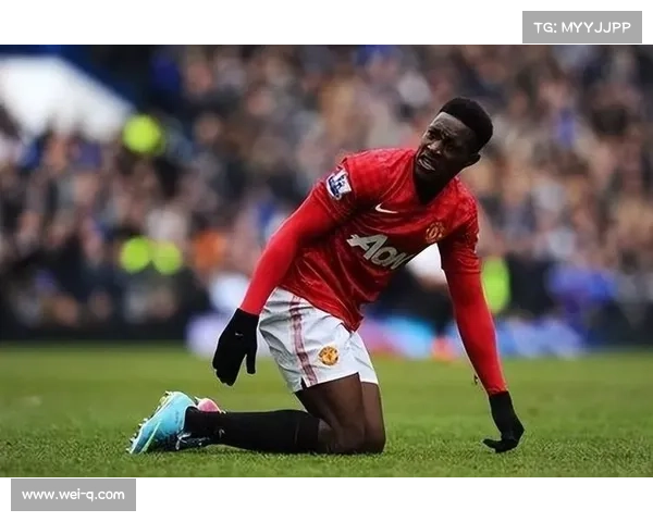 如何从维尔贝克的球场表现与个性特点理解其黑贝绰号的由来与意义